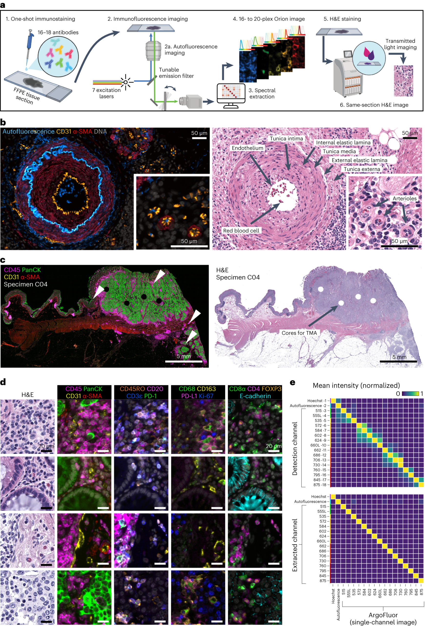 BIOCOM Africa Equipment Training