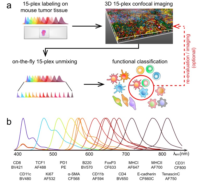 BIOCOM Africa Equipment Training