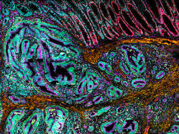 BIOCOM Africa Equipment Training