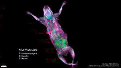 BIOCOM Africa Equipment Training