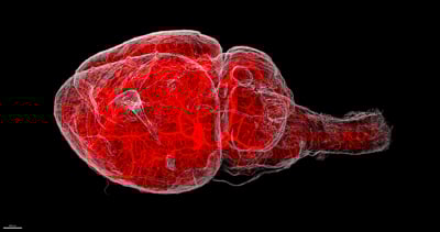 BIOCOM Africa Equipment Training